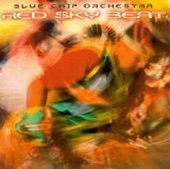 Blue Chip Orchestra - Skan - The Sky