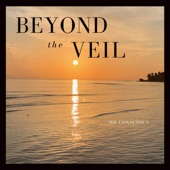 Beyond the Veil artwork