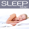 Sleep Music - Adrew Visser, Relaxing Sleep Music & Música relajante