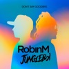 Don't Say Goodbye by Robin M iTunes Track 1