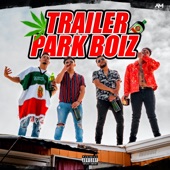 Trailer Park Boiz artwork