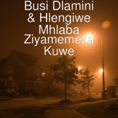 Ziyamemeza Kuwe artwork