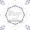 Prophet (Best's Friends Remixes) - EP