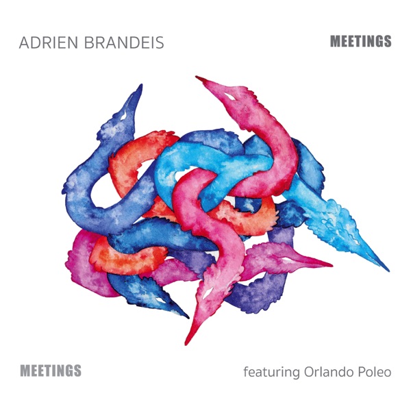 Adrien Brandeis  Meetings