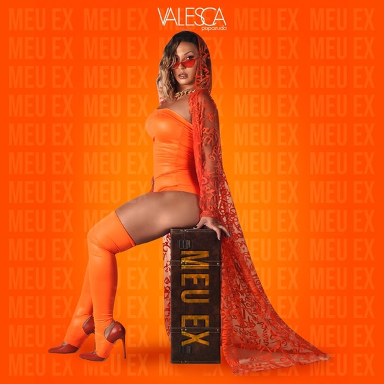 Cover artwork for Meu Ex