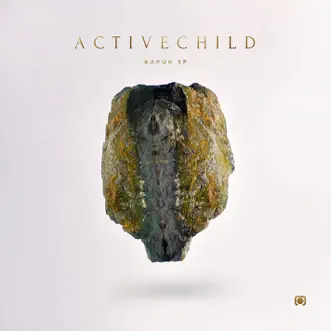 She Cut Me by Active Child song reviws