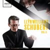 Llŷr Williams: Schubert, Vol. 6