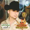 16 Narco Corridos album lyrics, reviews, download