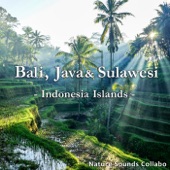 Bali, Java & Sulawesi -Indonesia Islands- artwork