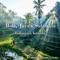 Valley before Dawn -Ubud, Bali Island- artwork