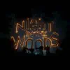 Title (From "Night In the Woods") - Single album lyrics, reviews, download