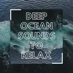 Deep Ocean Sounds to Relax - Underwater Whales & Dolphins to Sleep by Every Night Alder album reviews, ratings, credits