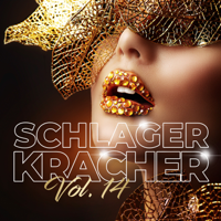 Various Artists - Schlager Kracher, Vol. 14 artwork