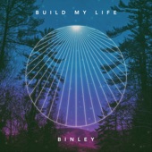 Build My Life (feat. Andrea Hamilton) artwork