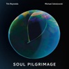 Tim Reynolds & Dave Matthews - Efflorescence