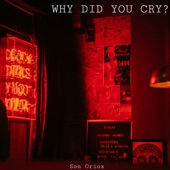 Why Did You Cry ? artwork