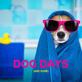 Dog Days (Are Over) – Anti-Anxiety Music for Your Furry Friend - Pet Therapy