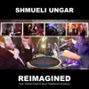 Reimagined (feat. Yedidim Choir & Aaron Teitelbaum Orchestra) - Single album lyrics, reviews, download