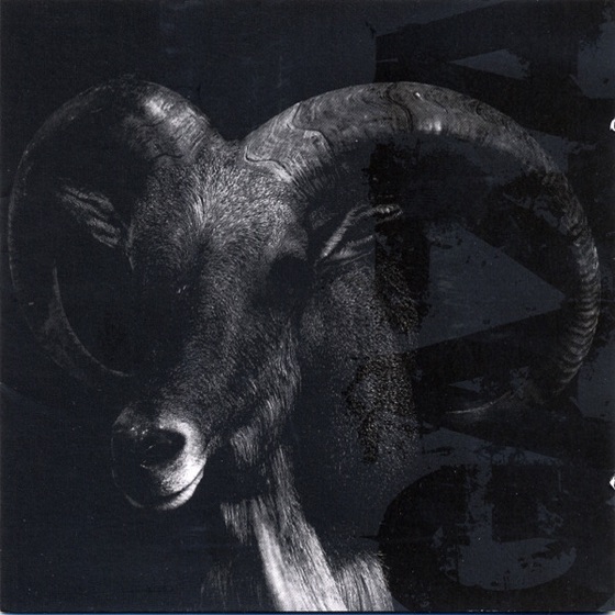 Cover artwork for Moth