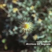 Archive of Signals artwork