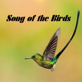 Song of the Birds - EP artwork