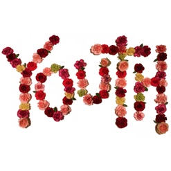 YOUTH cover art