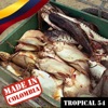 Made In Colombia / Tropical / 54