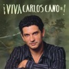 Carlos Cano - Sin Tí No Puedo Vivir