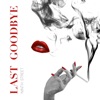 Last Goodbye - Single