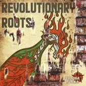 Revolutionary Roots artwork