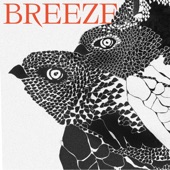 Breeze (Luftzug Version) artwork