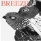 Breeze (Luftzug Version) artwork