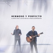 Hermoso y Perfecto (feat. David Reyes & Marco Barrientos) [En Vivo] artwork