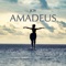 Aether (feat. Faizan) - Amadeus lyrics