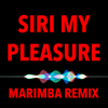 My Pleasure (feat. Siri) [I'm Sorry I'll Try Harder Hip Hop Beats 2019] - Marimba Remix
