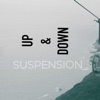 Suspension