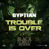 Stream & download Trouble is Over - Single