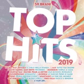 Top Hits 2019 artwork