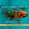 Brate Straine (Beni Barath Remix) - Mario Fresh & Andra lyrics