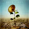 The Late Bloom album lyrics, reviews, download