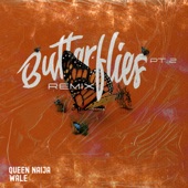 Queen Naija - Butterflies Pt. 2 - Wale Remix