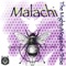 Malachi (feat. Tony Kosco) - The Mighty Megavibe Tribe lyrics