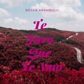 Te Juro Que Te Amo (feat. Claveles de la Cumbia) artwork