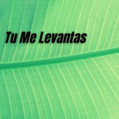 Tu Me Levantas artwork