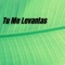 Tu Me Levantas artwork