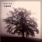 Linden - 8th Floor Wide lyrics