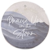 Praise You In the Storm artwork