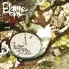 Days Chasing Days (feat. Aloe Blacc & Beleaf) song lyrics