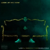Look At Me Now (feat. Lisi & Shely210) artwork