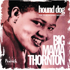 SOUTHERN LIGHTS: Remembering 'Big Mama' Thornton